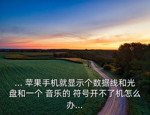 蘋果4開不了機后又顯示一個數(shù)據(jù)線標(biāo)志和一個音樂符號