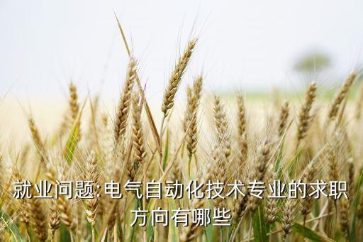 就業(yè)問題:電氣自動化技術專業(yè)的求職方向有哪些