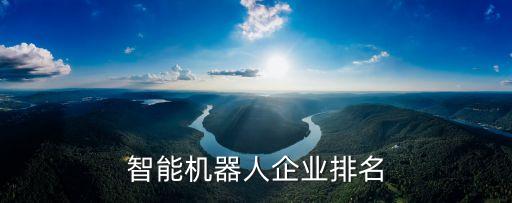 智能機器人企業(yè)排名