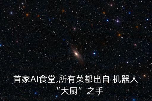 首家AI食堂,所有菜都出自 機(jī)器人“大廚”之手