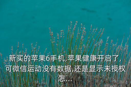 新買(mǎi)的蘋(píng)果6手機(jī),蘋(píng)果健康開(kāi)啟了,可微信運(yùn)動(dòng)沒(méi)有數(shù)據(jù),還是顯示未授權(quán)怎...
