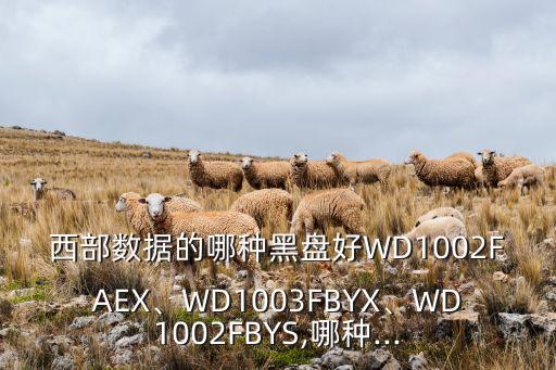西部數(shù)據(jù)系列好,西數(shù)和希捷硬盤哪個好?一文看懂