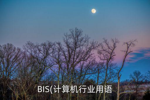 BIS(計算機行業(yè)用語