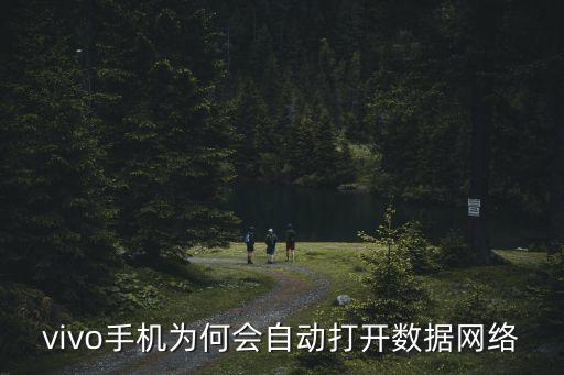 vivo手機(jī)為何會(huì)自動(dòng)打開(kāi)數(shù)據(jù)網(wǎng)絡(luò)