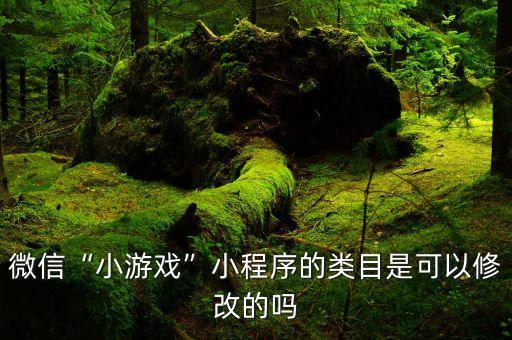 微信“小游戲”小程序的類(lèi)目是可以修改的嗎