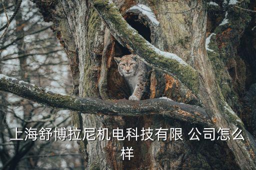 上海舒博拉尼機(jī)電科技有限 公司怎么樣