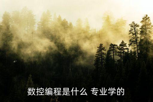 自動(dòng)化專業(yè)有cnc課嗎,cnc是自動(dòng)化專業(yè)嗎