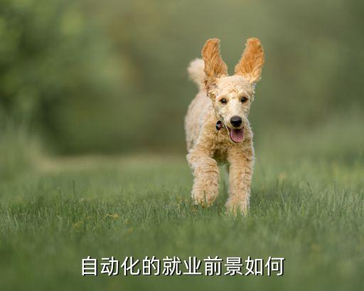 自動(dòng)化專業(yè)有什么就業(yè)前景,自動(dòng)化專業(yè)的就業(yè)前景