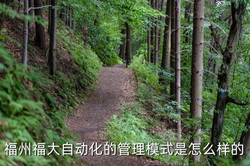 福州福大自動化的管理模式是怎么樣的