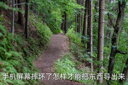 手機屏幕摔壞了怎樣才能把東西導(dǎo)出來