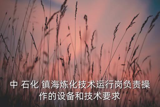 中 石化 鎮(zhèn)海煉化技術(shù)運(yùn)行崗負(fù)責(zé)操作的設(shè)備和技術(shù)要求
