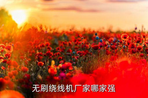 無刷繞線機廠家哪家強