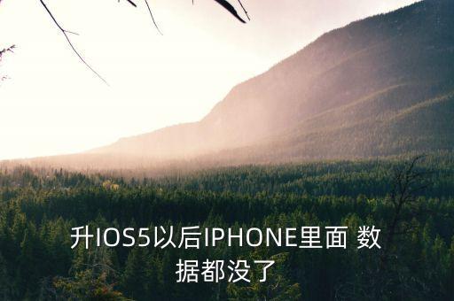升IOS5以后IPHONE里面 數(shù)據(jù)都沒(méi)了
