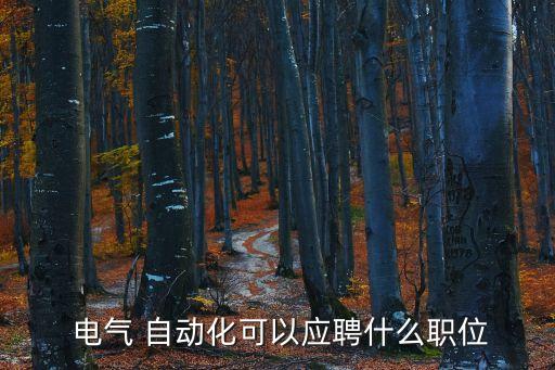  電氣 自動(dòng)化可以應(yīng)聘什么職位