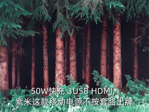 紫米 typec數(shù)據(jù)線 垃圾,紫米typec數(shù)據(jù)線拆解