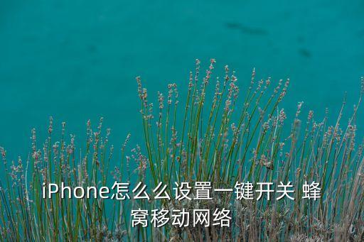 iPhone怎么么設(shè)置一鍵開關(guān) 蜂窩移動網(wǎng)絡(luò)