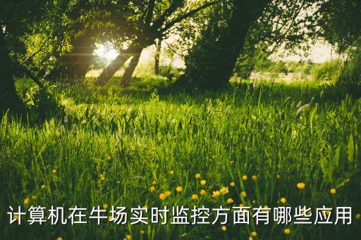 計算機在牛場實時監(jiān)控方面有哪些應(yīng)用
