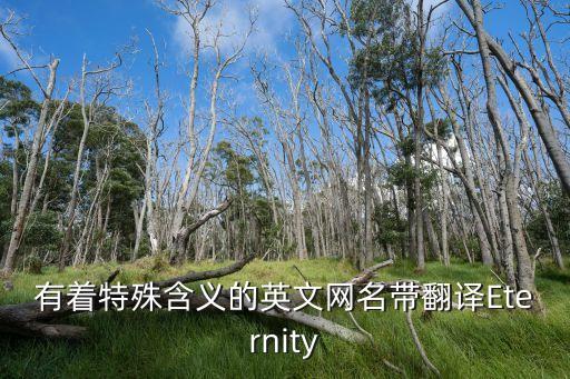 有著特殊含義的英文網(wǎng)名帶翻譯Eternity