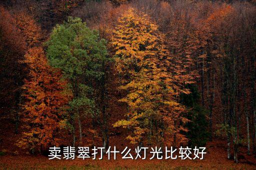 自動化皮線燈幻彩設(shè)備研發(fā),皮線燈串自動化設(shè)備