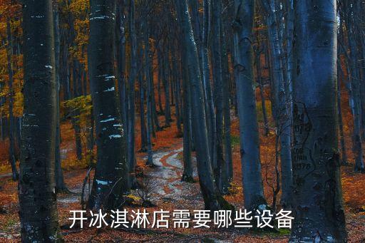 開冰淇淋店需要哪些設(shè)備
