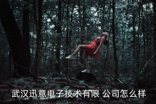  武漢迅意電子技術(shù)有限 公司怎么樣