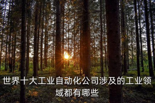 世界十大工業(yè)自動化公司涉及的工業(yè)領域都有哪些