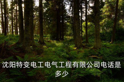 沈陽(yáng)特變電工電氣工程有限公司電話是多少