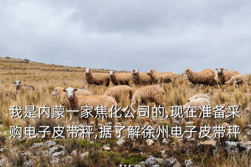 國(guó)諾水果自動(dòng)化設(shè)備,水果罐頭自動(dòng)化設(shè)備品牌排名出爐