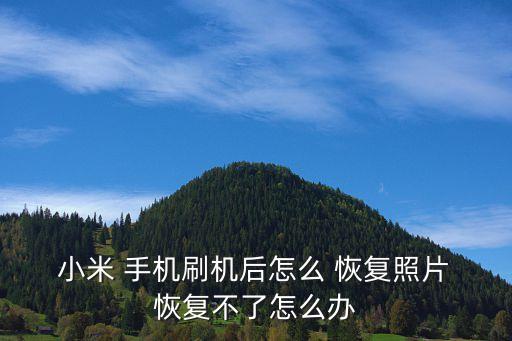  小米 手機(jī)刷機(jī)后怎么 恢復(fù)照片 恢復(fù)不了怎么辦