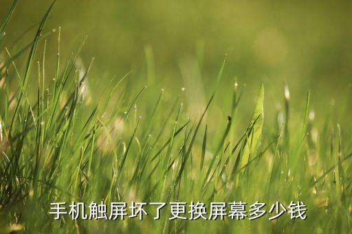  手機(jī)觸屏壞了更換屏幕多少錢(qián)