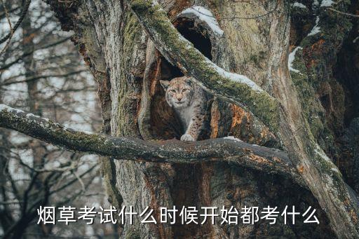 煙草考試什么時(shí)候開始都考什么