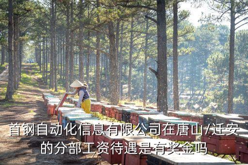 首鋼自動化公司 怎么樣,首鋼自動化信息公司怎么樣?