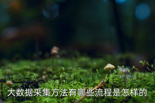 大數(shù)據(jù)采集方法有哪些流程是怎樣的