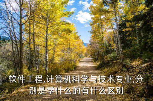 軟件工程,計(jì)算機(jī)科學(xué)與技術(shù)專業(yè),分別是學(xué)什么的有什么區(qū)別