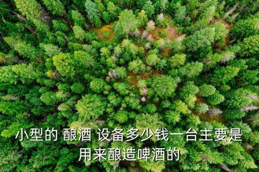 小型的 釀酒 設(shè)備多少錢一臺(tái)主要是用來(lái)釀造啤酒的