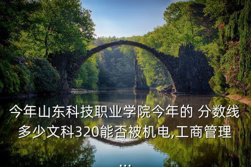 今年山東科技職業(yè)學(xué)院今年的 分?jǐn)?shù)線多少文科320能否被機(jī)電,工商管理...