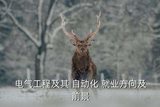  電氣工程及其 自動化 就業(yè)方向及 前景