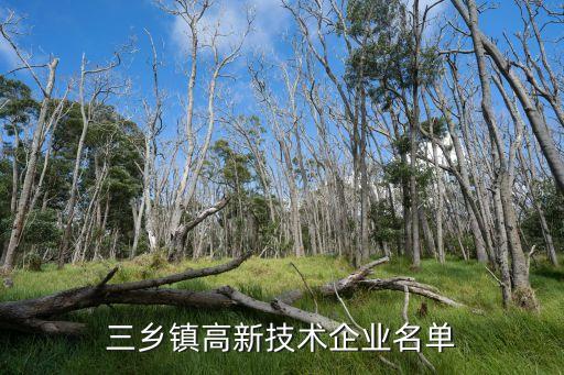 三鄉(xiāng)鎮(zhèn)高新技術(shù)企業(yè)名單