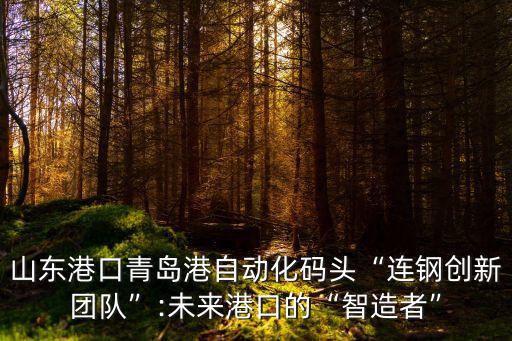 山東港口青島港自動(dòng)化碼頭“連鋼創(chuàng)新團(tuán)隊(duì)”:未來(lái)港口的“智造者”