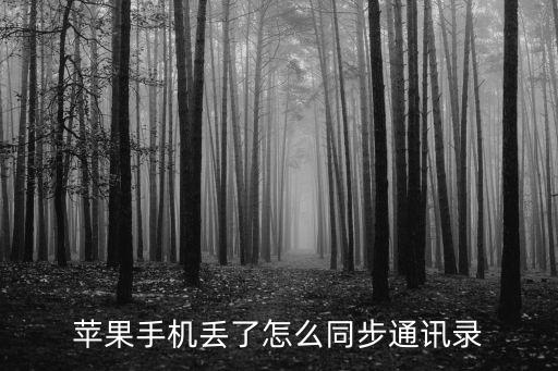 蘋果手機丟了怎么同步通訊錄