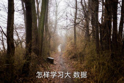 怎樣學(xué)習(xí)大 數(shù)據(jù)