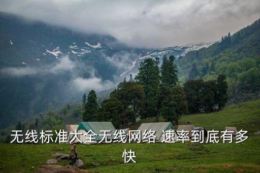 wlan的最高數(shù)據(jù)速率是