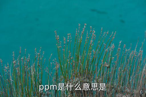 PPm什么意思,pmm是什么意思?