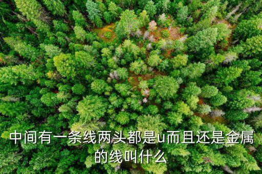 中間有一條線兩頭都是u而且還是金屬的線叫什么
