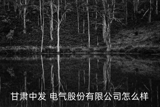 甘肅中發(fā) 電氣股份有限公司怎么樣