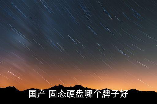 國產(chǎn) 固態(tài)硬盤哪個牌子好