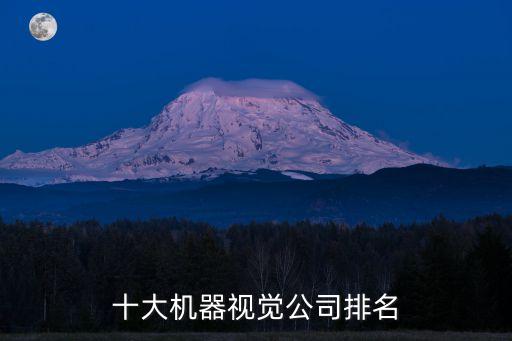 十大機(jī)器視覺公司排名