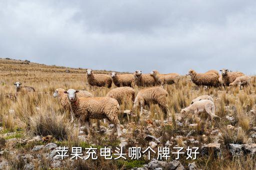 iphone4s數(shù)據(jù)線哪個牌子好