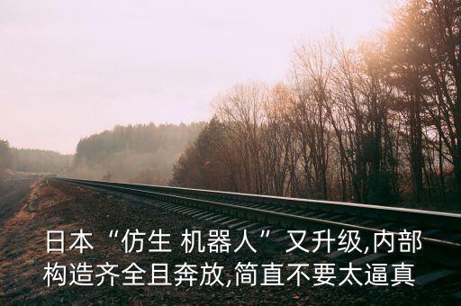  日本“仿生 機(jī)器人”又升級(jí),內(nèi)部構(gòu)造齊全且奔放,簡(jiǎn)直不要太逼真