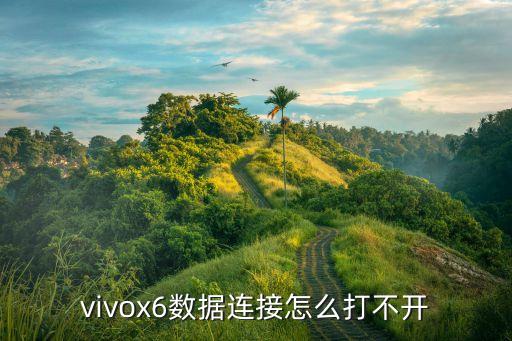 手機(jī)的數(shù)據(jù)連接打不開,數(shù)據(jù)連接打不開怎么辦?一文看懂